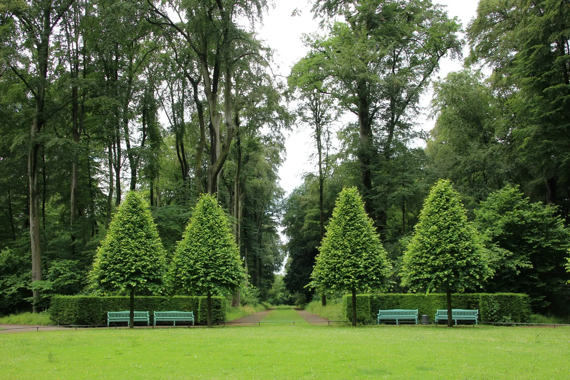 Mantenimiento de jardines